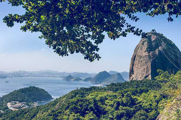 istock Rio de Janeiro, Brazil 516316859