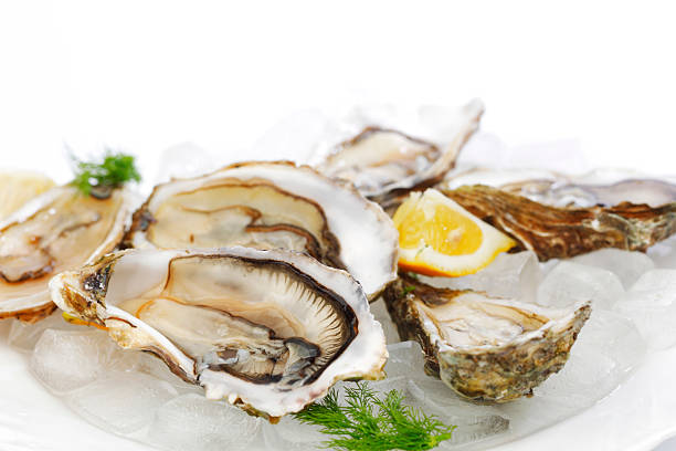 istock Oysters with lemon and dill 516317175