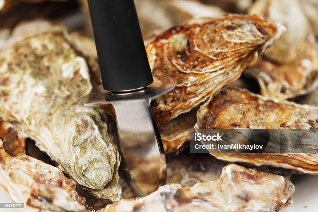 Oysters and knife Oysters and knife macro close-up Animal Shell Stock Photo