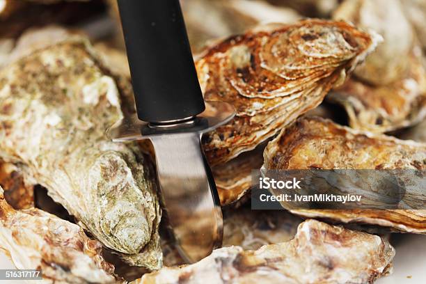 Oysters And Knife Stock Photo - Download Image Now - Animal Shell, Antioxidant, Appetizer