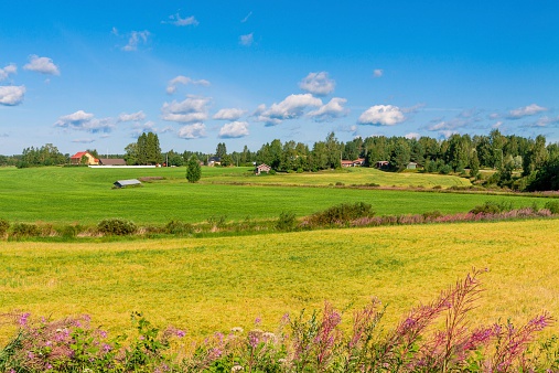 houses in a rural landscape in Finland