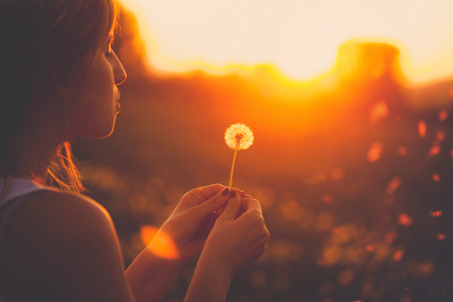 Young woman relaxing in a dandelion field