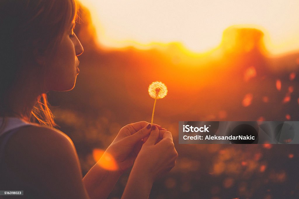 Blowing a dandelion Young woman relaxing in a dandelion field Women Stock Photo
