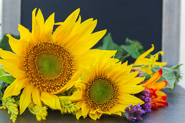 istock fall sunflowers with pumpkin 516318141