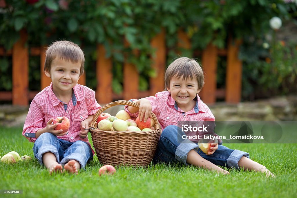 Two adorable boys, sitting on the grass, eating apples Two adorable boys, sitting on the grass, eating apples and having fun Agriculture Stock Photo