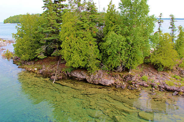 Skerry a Skerry with trees growing on it at Tobermory, Bruce Peninsula, Ontario, Canada sandbanks ontario stock pictures, royalty-free photos & images