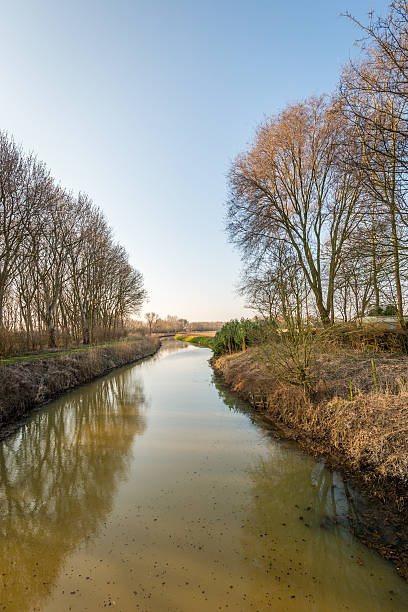 istock Small meandering river in early morning sunlight 516322950
