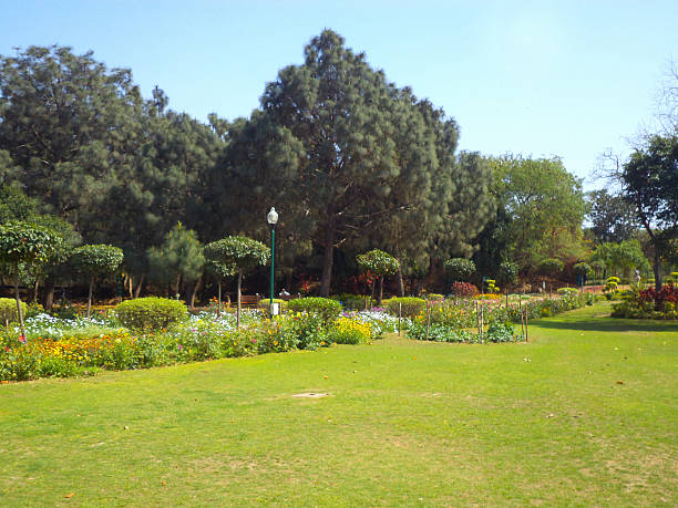 istock Buddha Garden, New Delhi, India 516323176