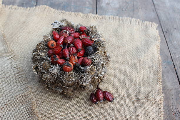 Chestnuts and autumn leaves in a basket - isolated on white
