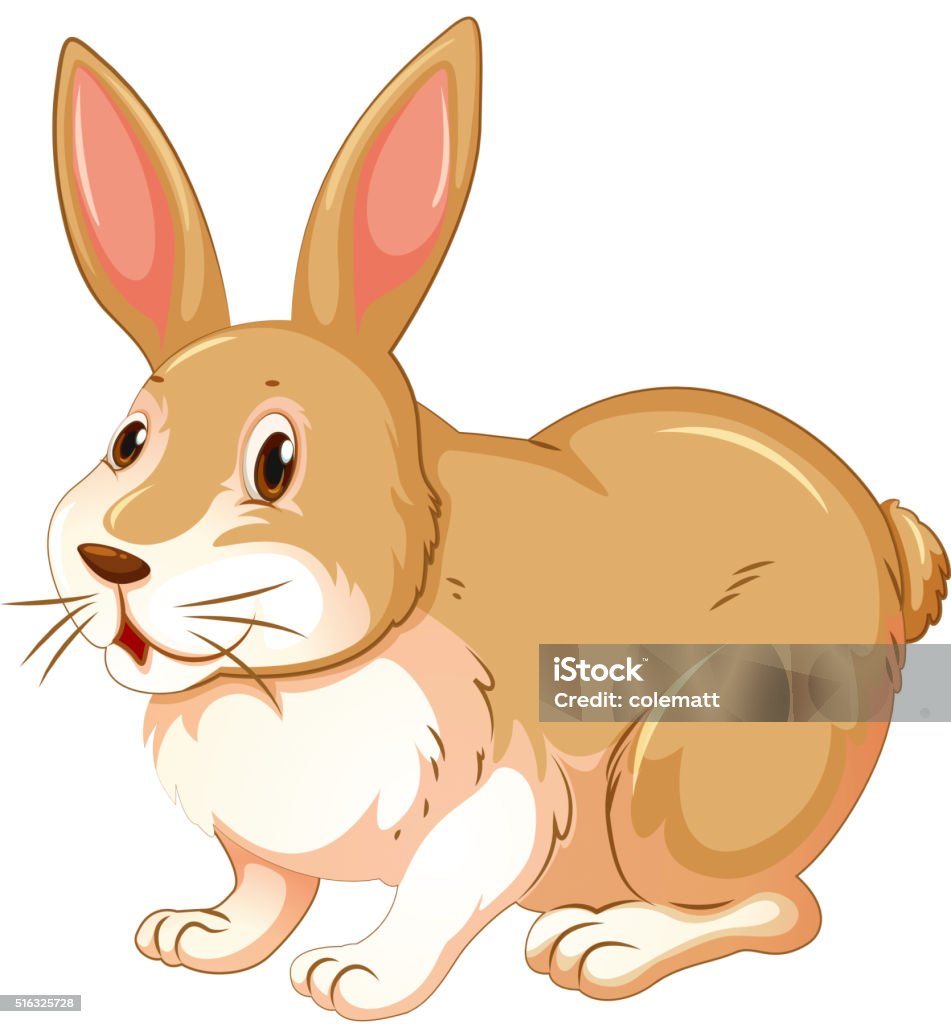 Brown Rabbit Vector Stock Brown Rabbit On White Background Stock Illustration - Download Image ...