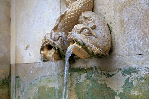 Two stone fish fountain on the wall in Lisbon, Portugal