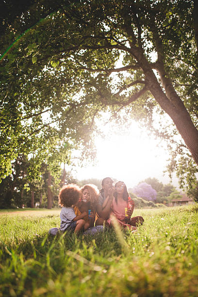 アフリカ系アメリカ人の家族の中に座って美しい公園の吹き出し付き - child tree cheerful offspring ストックフォトと画像
