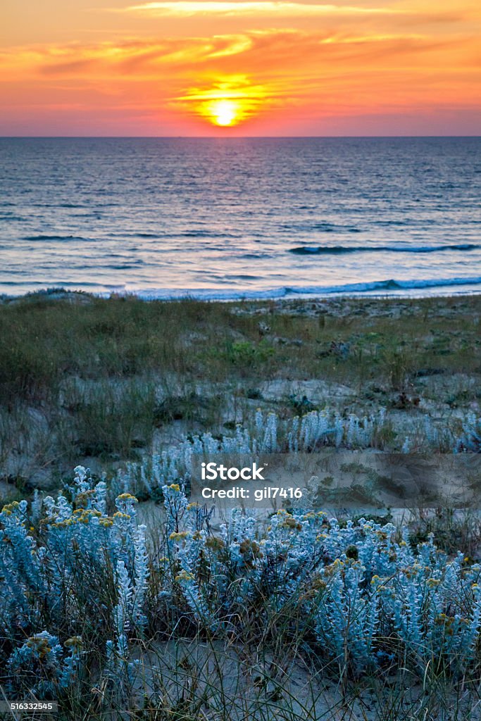 Sunset on the dune in the south west Shot during summer 2014 in the south west of FRance Aquitaine Stock Photo