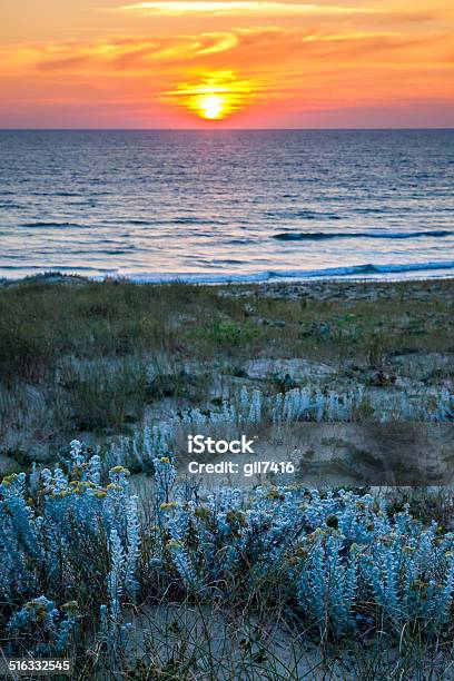 Sunset On The Dune In The South West Stock Photo - Download Image Now - Aquitaine, Beach, Europe