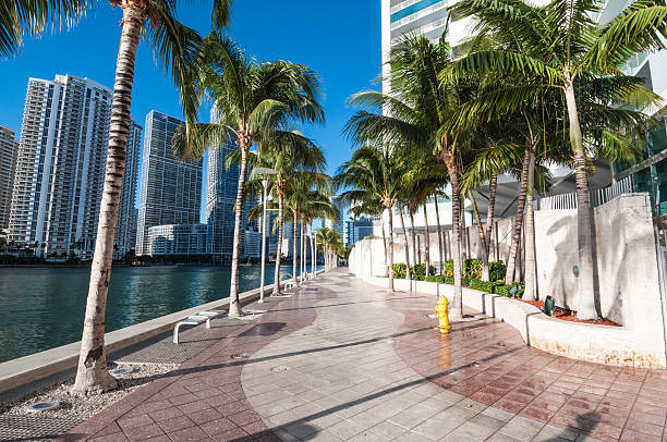 istock Waterfront promenade in Miami 516334451