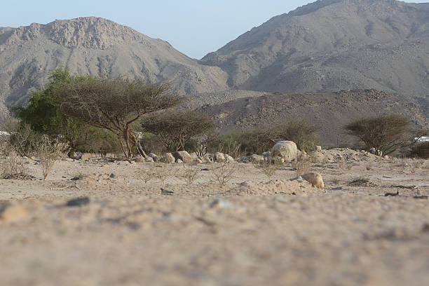 bajo punto de vista de las montañas, hajar musandam, omán - al hajjar fotografías e imágenes de stock