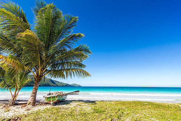 istock Boat by palm tree on Playa Rincon, Dominican Republic 516336403