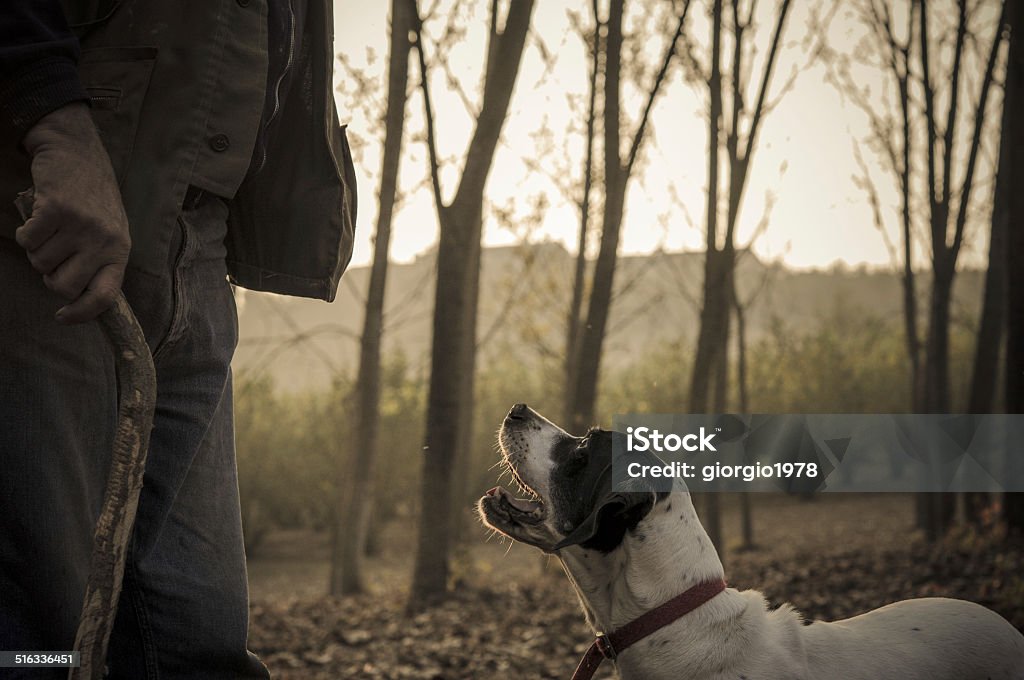 Hombre y su perro búsqueda de trufa - Foto de stock de Trufa blanca libre de derechos