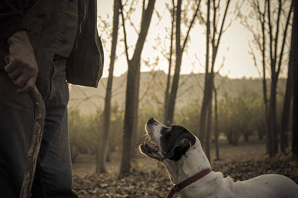 hombre y su perro búsqueda de trufa - trufa blanca fotografías e imágenes de stock