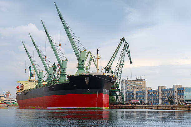 istock Big industrial ship with cranes is loading in port 516338071