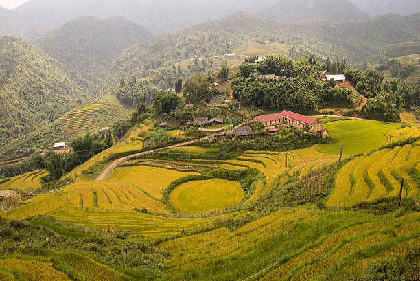 istock School and rice terrace in sapa 516349237