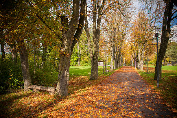 istock Beautiful view to Villingen-Schwenningen 516351195