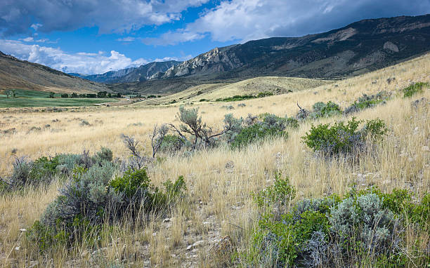 istock Buffalo Bill State Park, Cody, Wyoming, USA. 516352289