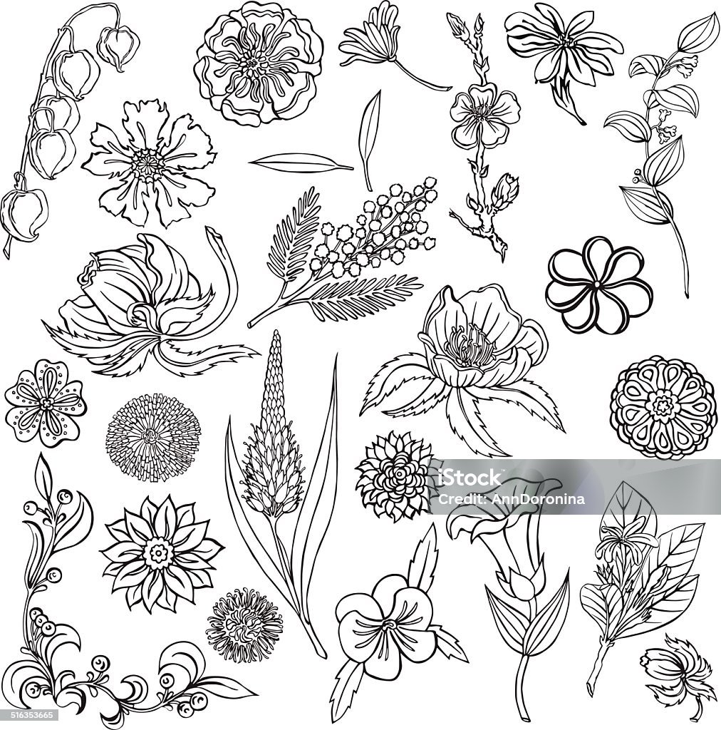 Minh Họa Vector Với Hình Bóng Của Các Loài Hoa Khác Nhau Hình minh ...