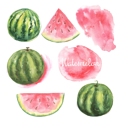 Hand drawn watercolor painting fresh watermelon on white background. Fruit set element  and drawn watercolor blots and stains with a spray for your design.