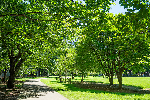 verano kinuta parque - distrito de setagaya fotografías e imágenes de stock