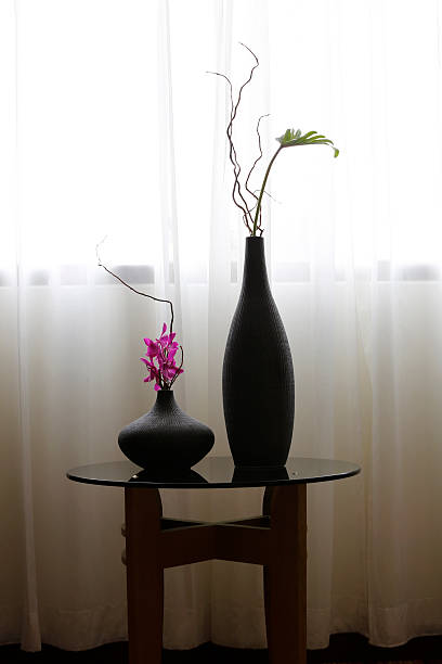 istock orchid plants by the window 516356329