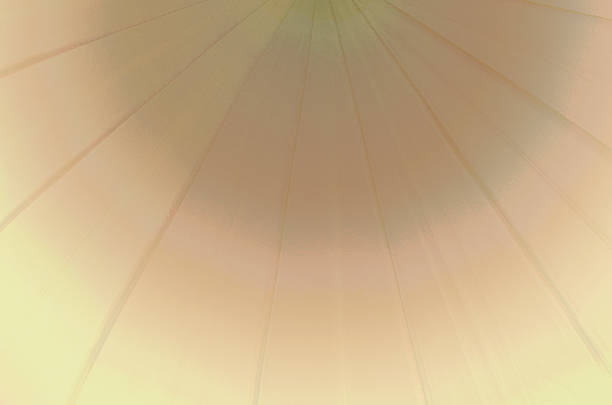 Umbrella brown color line abstract backgrounds textures