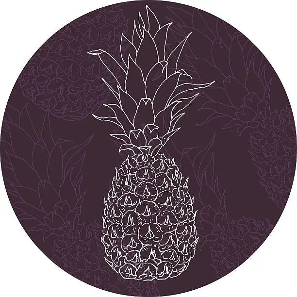 Vector illustration of Vector pineapple illustration, hand drawn ananas sketch with silhouettes