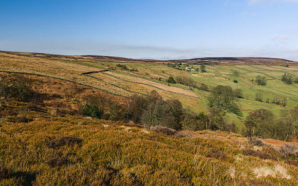 istock Sunset over the North York Moors, Yorkshire, UK. 516360784