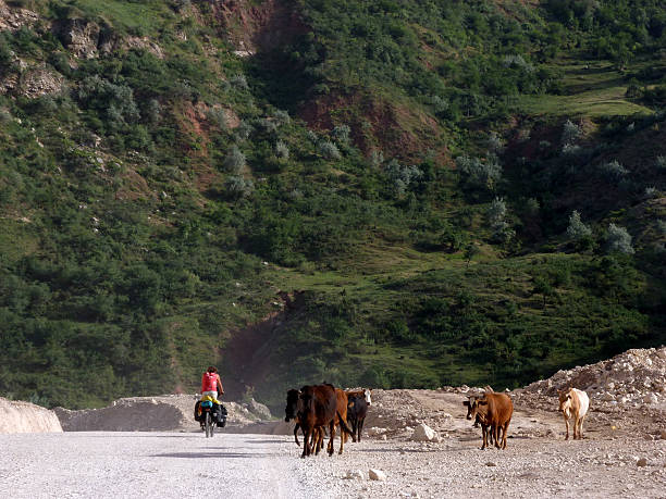 istock Pamir Highway/ Dushanbe to Kirgistan 516363796