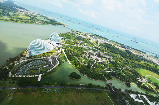 skyline view on Singapore gardens