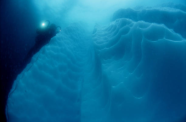mergulho submarino na antárctida - climate change south pole antarctica imagens e fotografias de stock