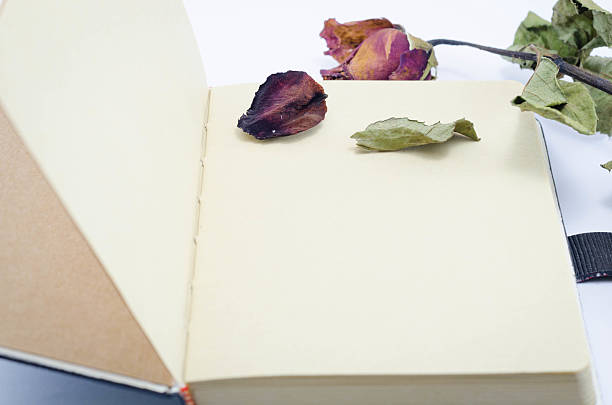 istock Dry roses and note book on isolated white background 516366070