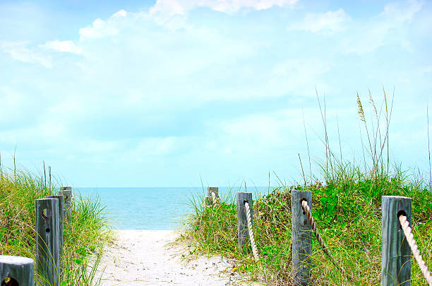 Beautiful beach path scene with sea oats stock photo