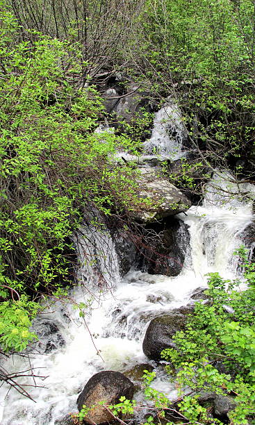 cascada, resorte, idaho montañas, ee. uu. occidental - idaho beautiful western usa usa fotografías e imágenes de stock