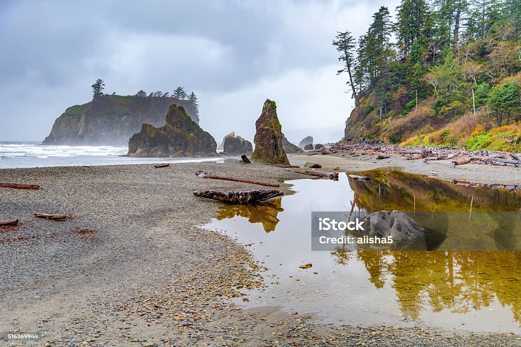Ruby Beach January Ruby Beach Olympic National Park In The Us State Stock Photo - Download ...