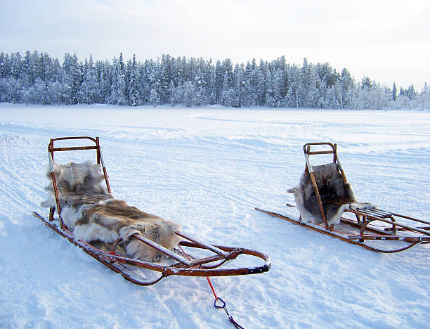 北極 sledges - animal sledding tobogganing snow finland ストックフォトと画像