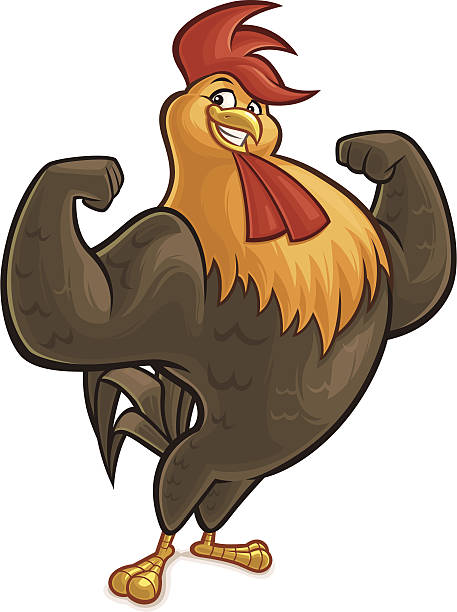 Flexing Rooster A rooster cartoon feeling strong. animal muscle stock illustrations
