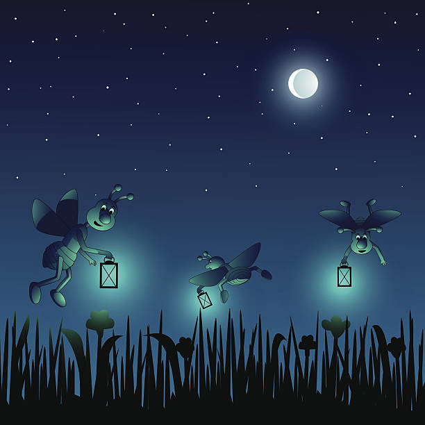 fireflies - świetlik chrząszcz stock illustrations