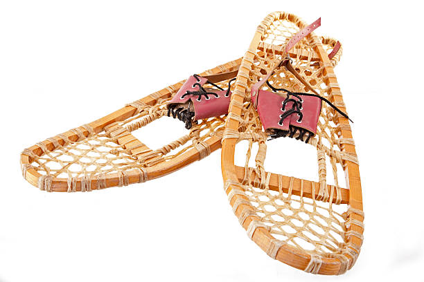 istock vintage snowshoes 516379087