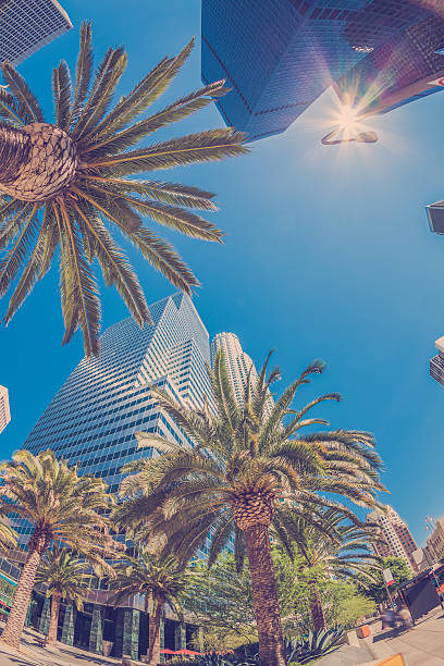 istock Downtown Los Angeles California 516379851