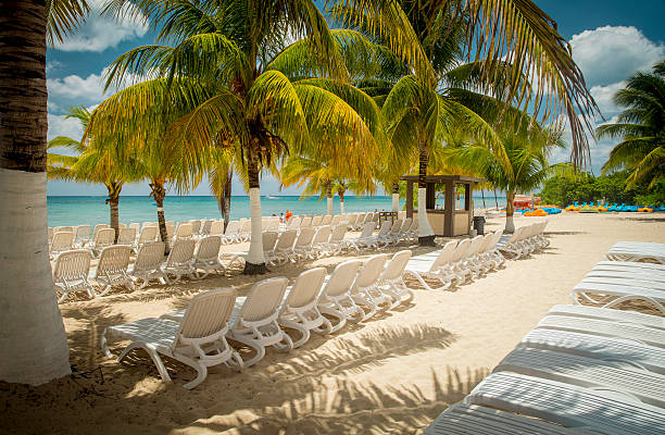 istock Beach on Cozumel Island, Mexico 516387516
