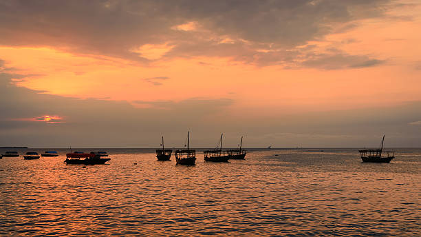 istock Traditional dhow boats at sunset 516387780