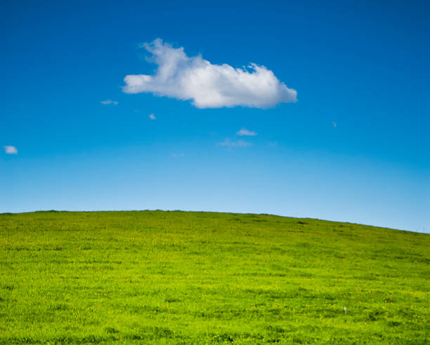 istock Green grass field with white clouds on blue sky 516388132