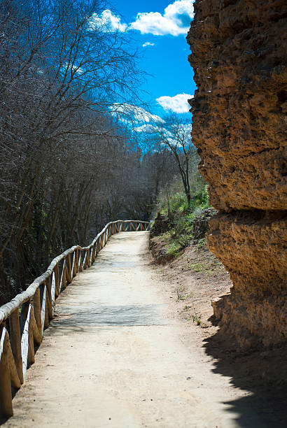 istock Lonely path in the field with blue sky 516389284